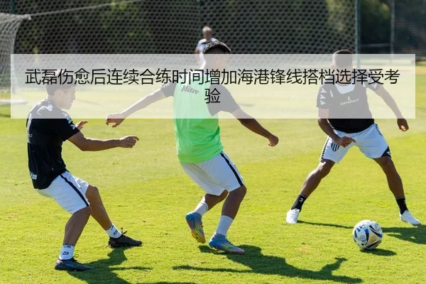 武磊伤愈后连续合练时间增加海港锋线搭档选择受考验