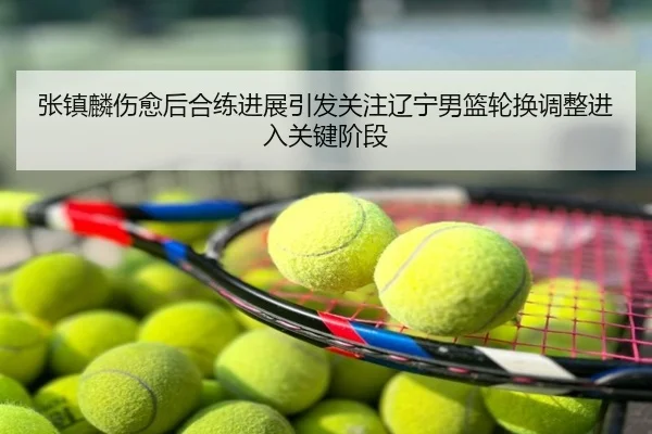 张镇麟伤愈后合练进展引发关注辽宁男篮轮换调整进入关键阶段