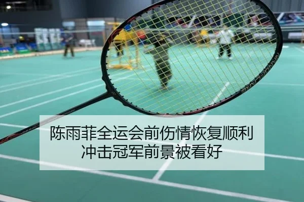 陈雨菲全运会前伤情恢复顺利 冲击冠军前景被看好